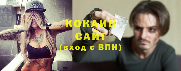 прущий лед Ельня
