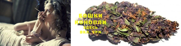 прущий лед Ельня