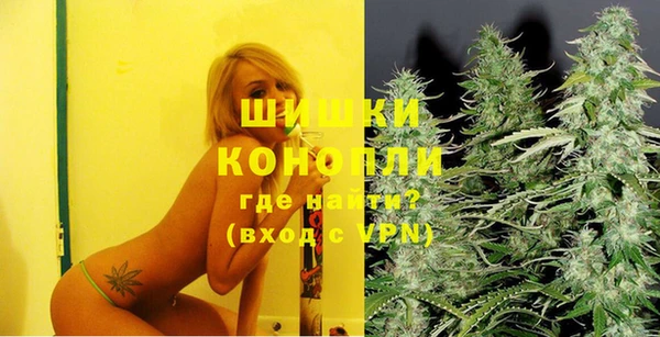 spice Пересвет