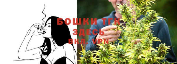 прущие крисы Елабуга