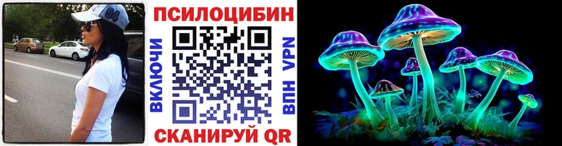 Галлюциногенные грибы Psilocybe  Ростов 